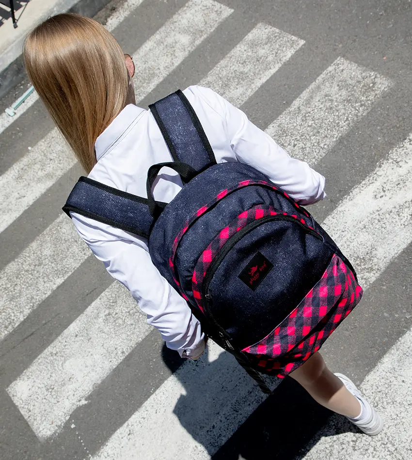 School Backpack GB2580P-5