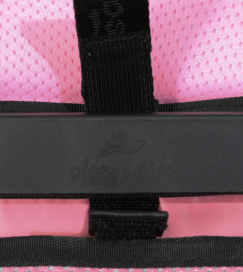 Trolley School Bag GB5392TB